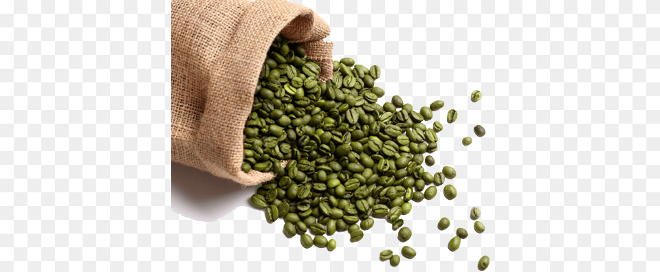 Green Coffee Beans Green Bean Coffee, Bag, Beverage, Coffee Beans Free Transparent Png