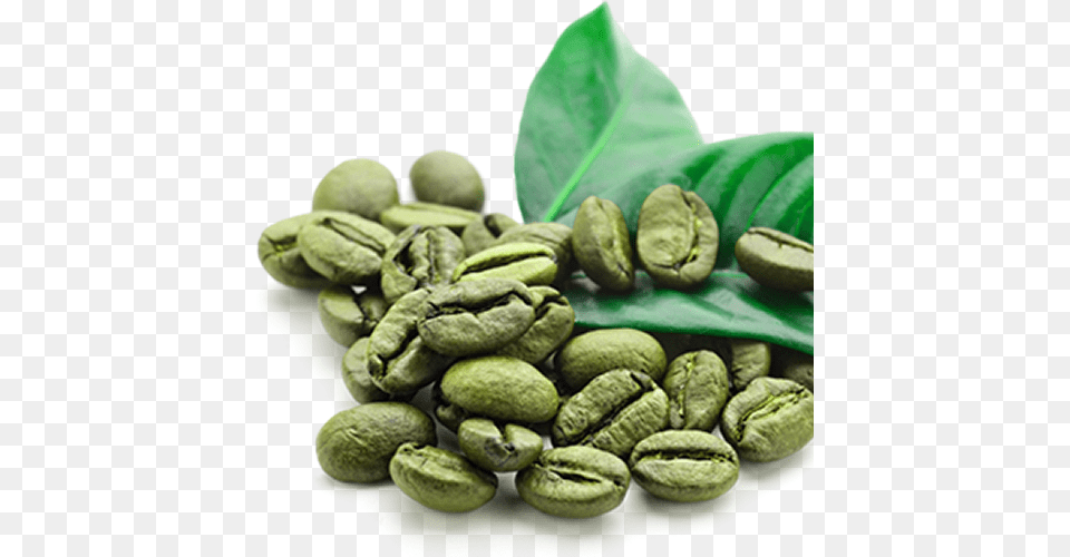 Green Coffee Beans Green Coffee Beans, Beverage Free Png Download