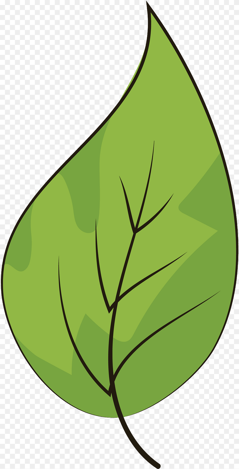 Green Color Leaf Drawing Icon Illustration, Plant, Herbal, Herbs Png Image