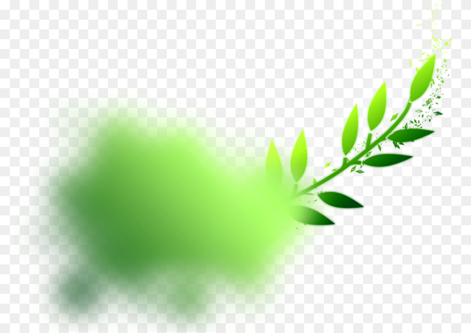 Green Computacion Rosa, Plant, Leaf, Herbal, Herbs Free Transparent Png