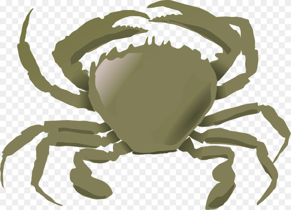 Green Crab Clipart, Animal, Food, Invertebrate, Sea Life Free Png Download