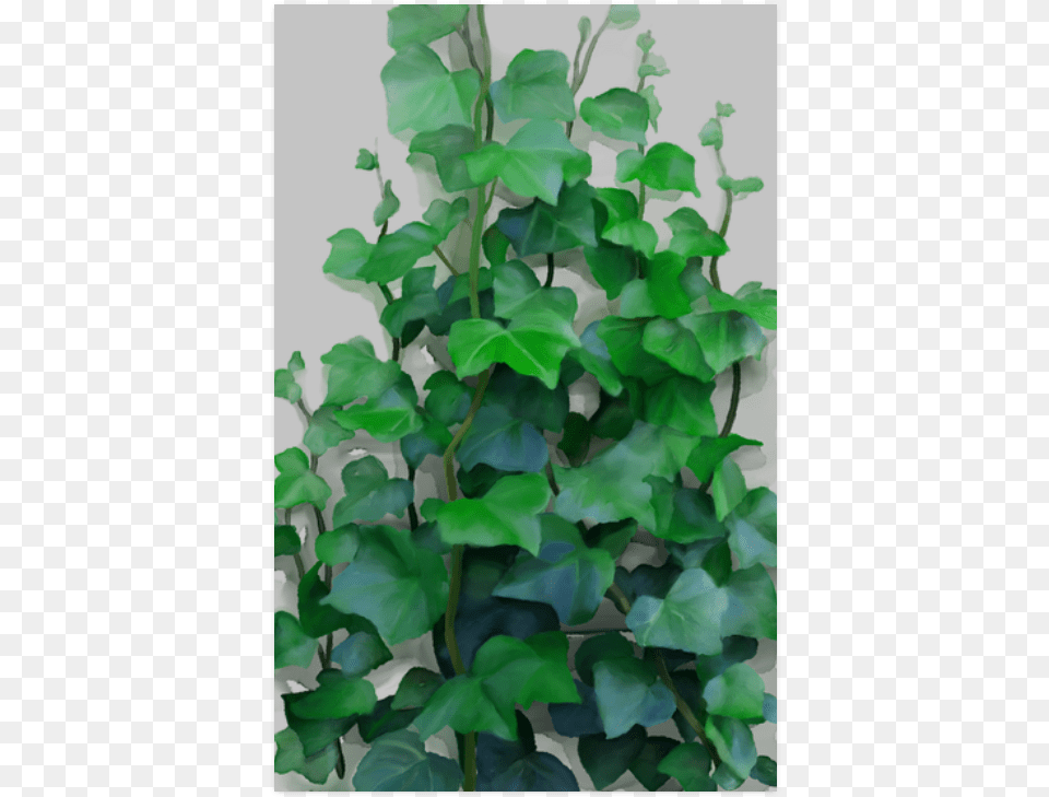 Green Creeper Wall Painting, Ivy, Plant, Vine, Leaf Png Image