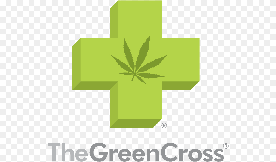 Green Cross Logo, Symbol, Leaf, Plant Png