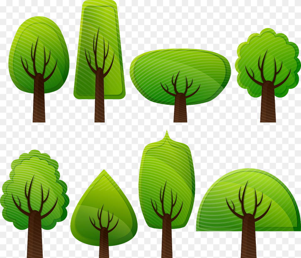 Green Deen, Leaf, Plant, Tree, Vegetation Png Image