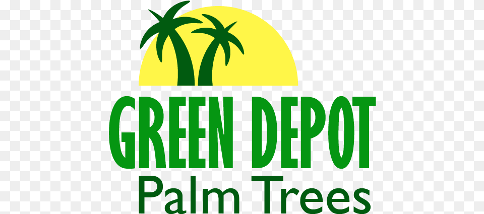 Green Depot Palm Trees U003e Contactus Clip Art, Plant, Vegetation, Food, Fruit Free Png