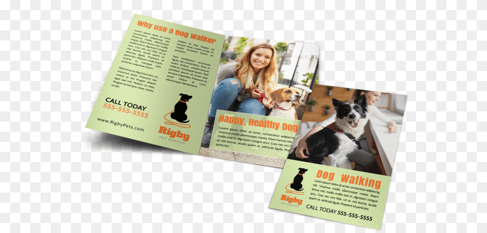 Green Dog Walking Bi Fold Brochure Template Preview Boston Terrier, Advertisement, Poster, Person, Adult Free Png Download