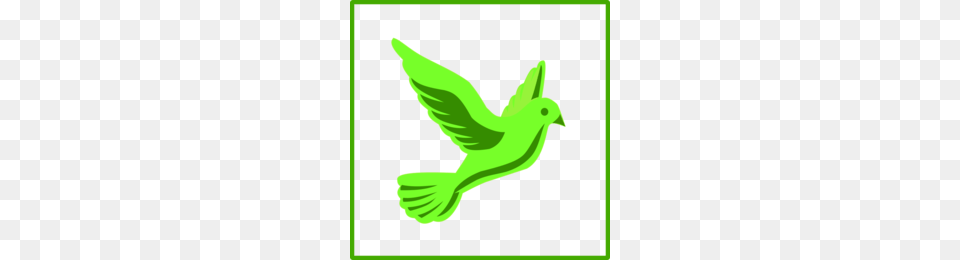 Green Dove Icon Clipart Pigeons And Doves Doves As, Animal, Bird Free Png Download