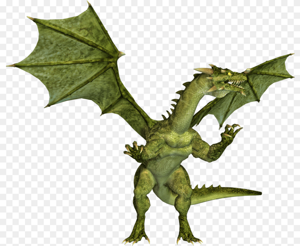 Green Dragon Chinese Dragon, Animal, Dinosaur, Reptile, Accessories Free Png
