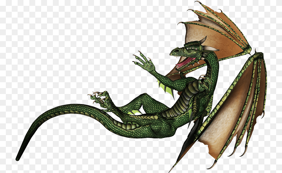 Green Dragon Drawing Green Dragon Falling, Animal, Reptile, Snake, Lizard Png Image