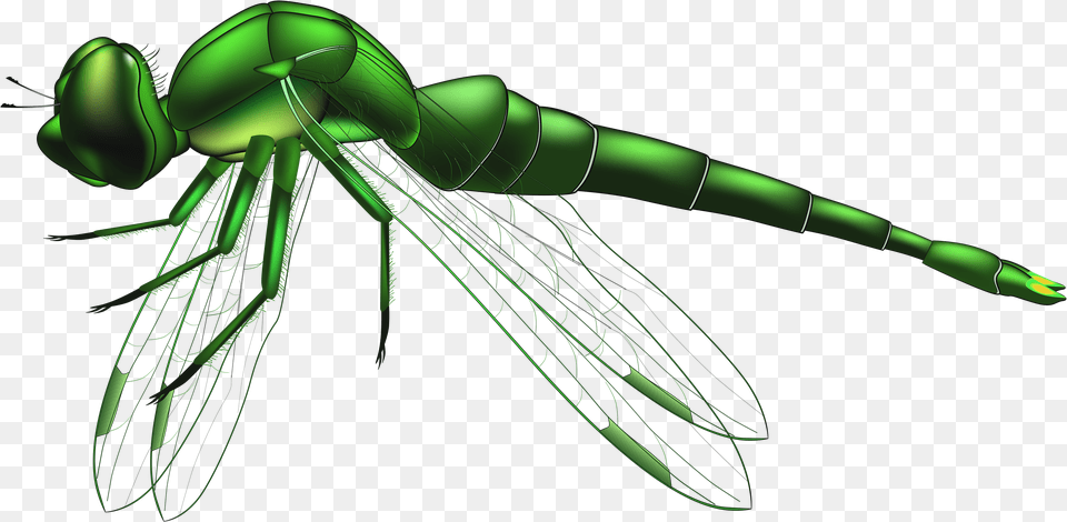Green Dragon Fly Cliparts Clip Art Library Dragonfly Dragonfly Clipart, Animal, Insect, Invertebrate, Smoke Pipe Png Image