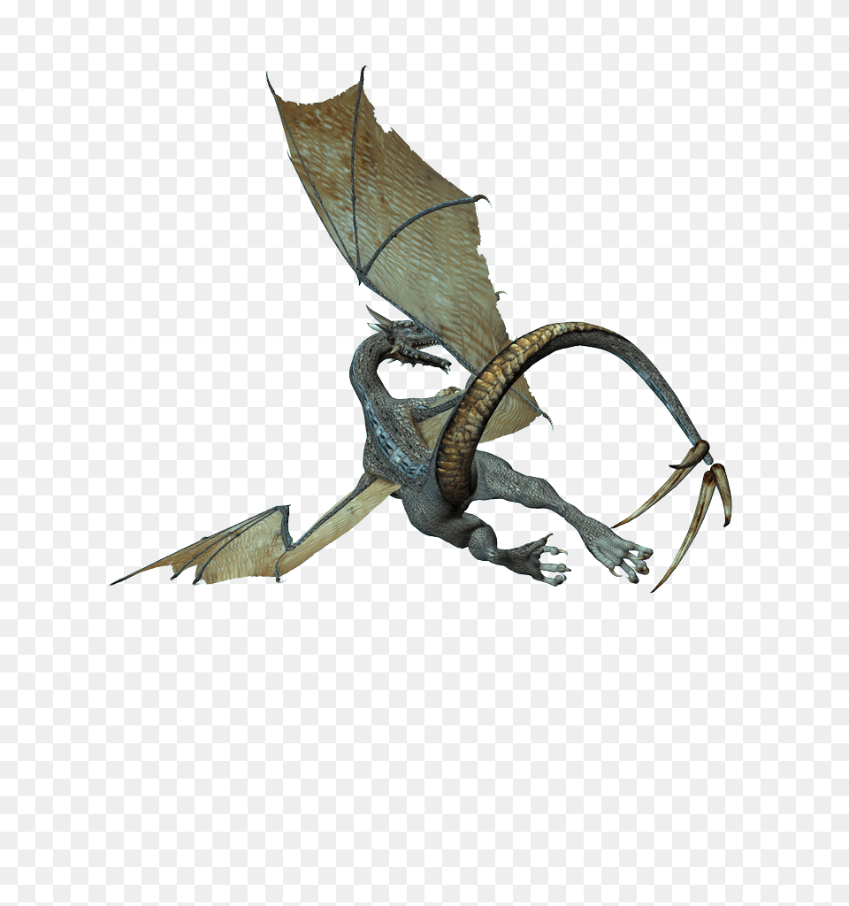 Green Dragon Drago Portable Network Graphics, Animal, Bird Free Png Download