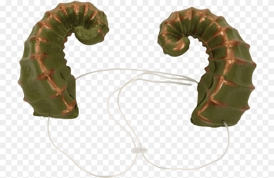 Green Dragon Horns Dragon Horns, Plant, Animal, Invertebrate, Worm Png