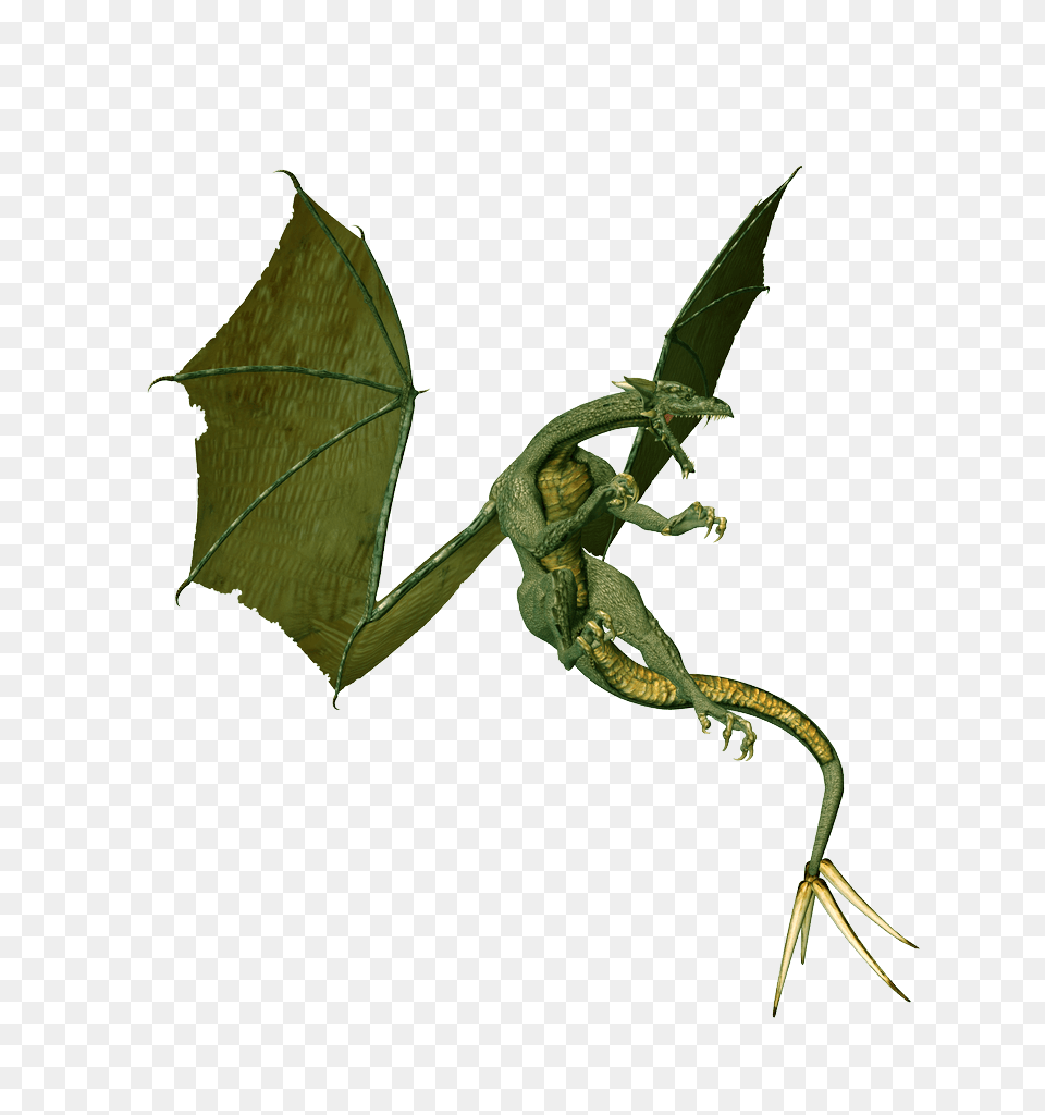 Green Dragon Images Drago Picture Free Transparent Png