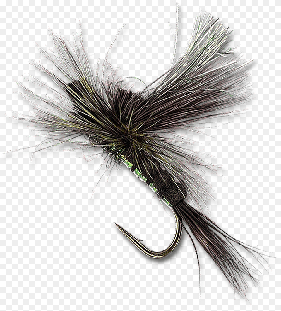 Green Drake Pond Pine, Electronics, Hardware, Fishing Lure Free Transparent Png