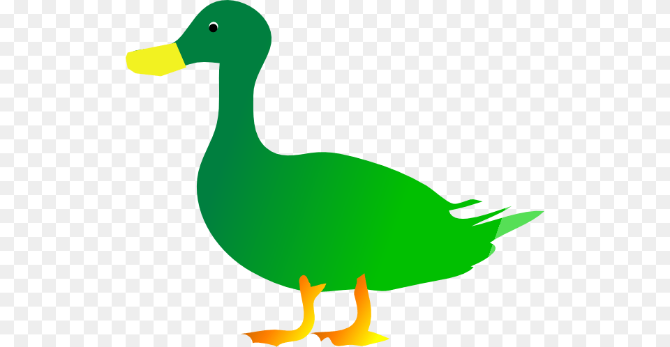 Green Duck Clip Art, Animal, Bird, Anseriformes, Waterfowl Free Png