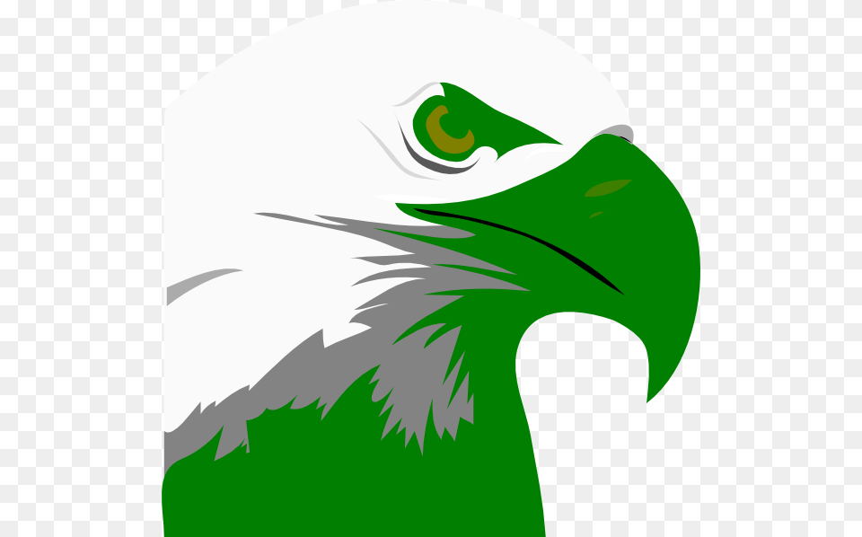 Green Eagle Head Clip Art, Animal, Beak, Bird, Fish Png
