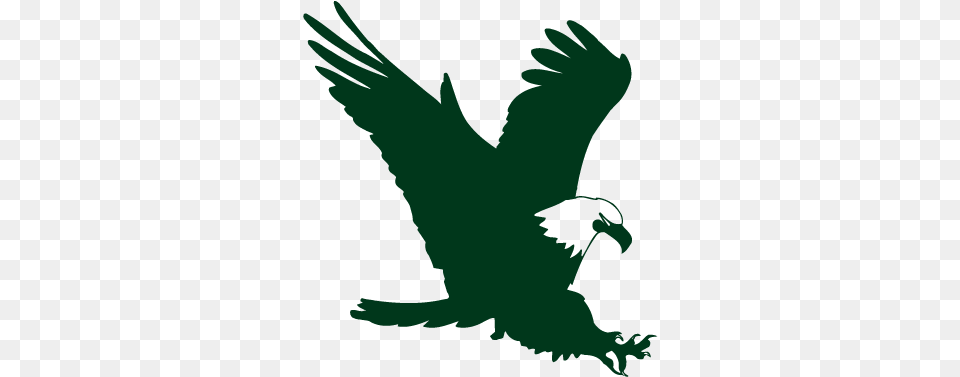 Green Eagle Logo Image With No, Animal, Bird, Vulture, Flying Png
