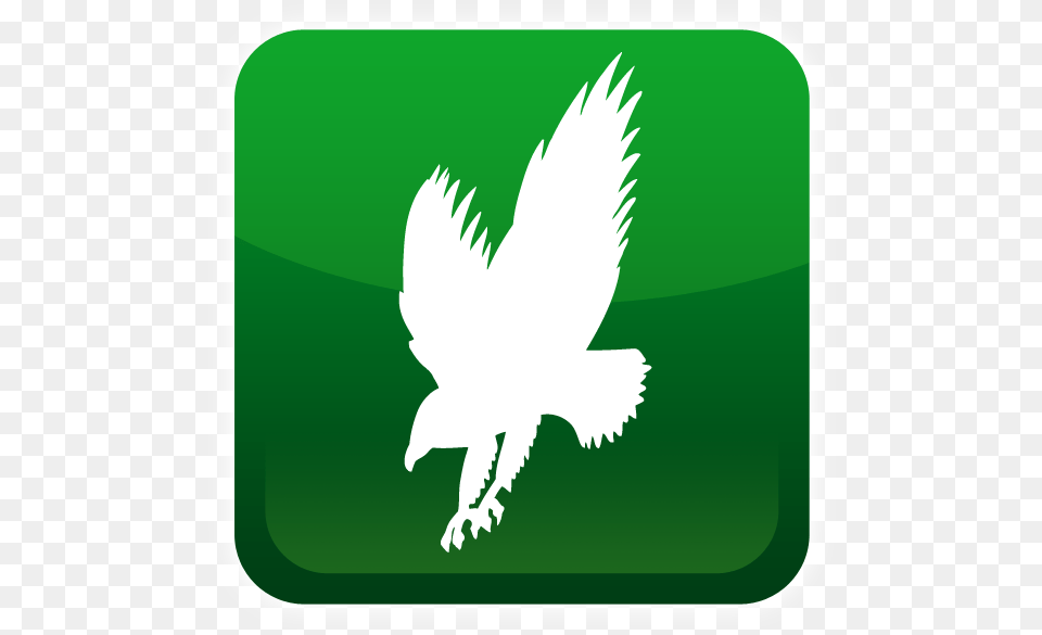 Green Eagle Wings Logo Transparent, Animal, Bear, Bird, Mammal Png