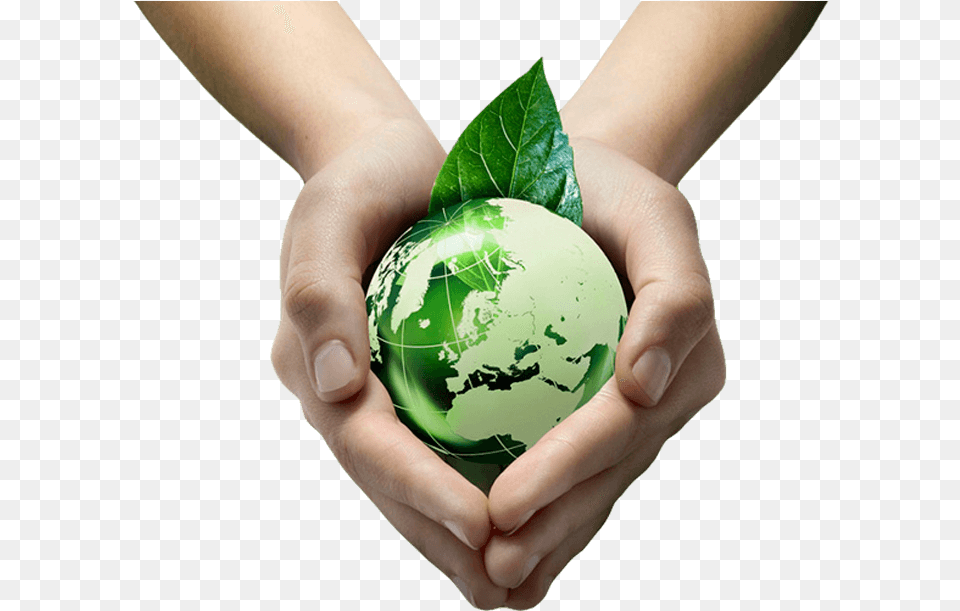 Green Earth, Egg, Food, Sphere, Person Free Png Download