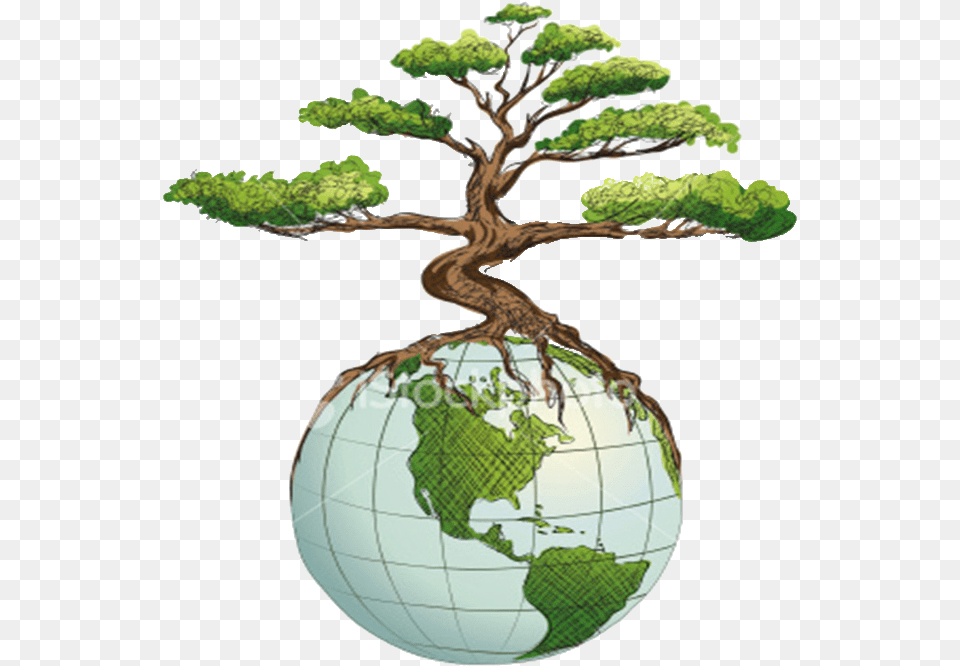 Green Earth Appraisals, Plant, Tree, Potted Plant, Astronomy Free Png