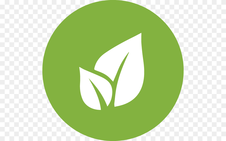 Green Environment Icon Leaf, Plant, Herbal, Herbs Png Image