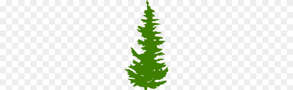Green Evergreen Tree Clip Art, Plant, Fir, Pine, Leaf Free Png Download