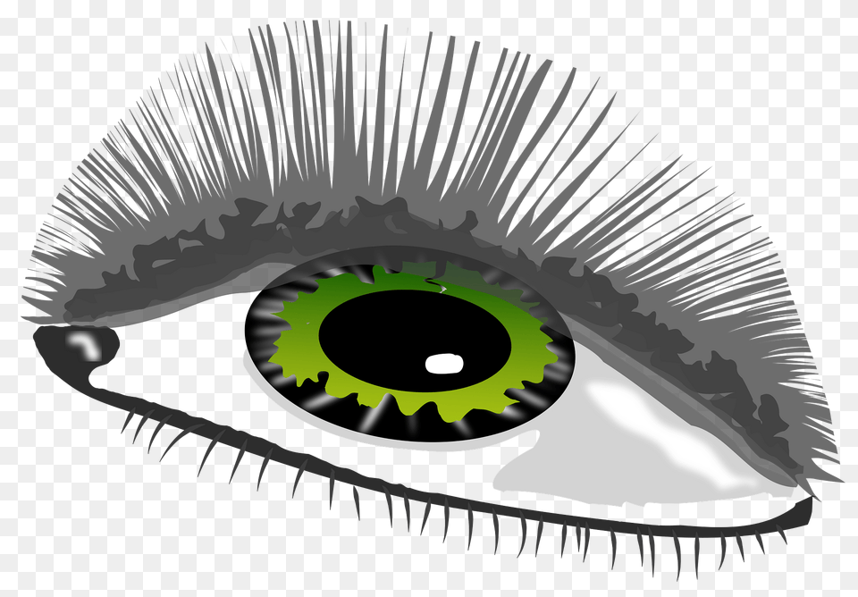 Green Eye Clipart, Contact Lens, Animal, Dinosaur, Reptile Png