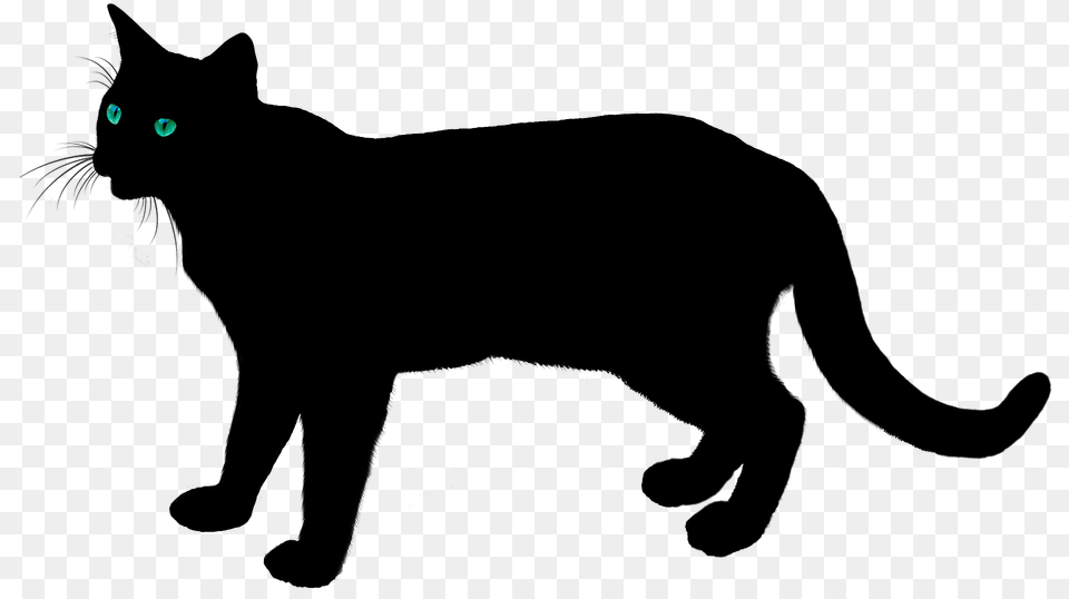Green Eyed Black Cat Clipart, Animal, Mammal, Pet, Black Cat Free Png