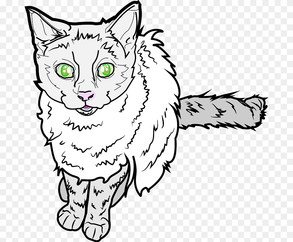 Green Eyed Kitten Clipart Domestic Short Haired Cat, Art, Drawing, Animal, Person Png Image
