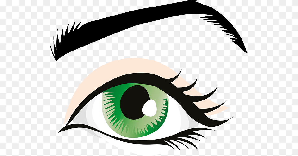 Green Eyes Eyelid Iris Eyebrows Brows Seeing, Art, Drawing, Graphics, Animal Free Png Download