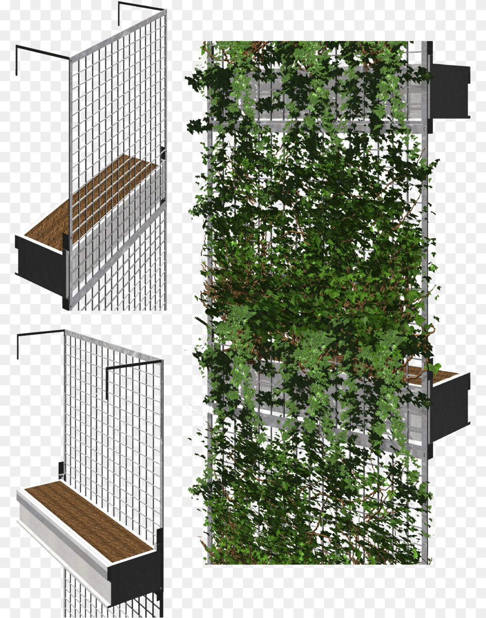 Green Facade, Architecture, Building, City, Potted Plant Free Transparent Png