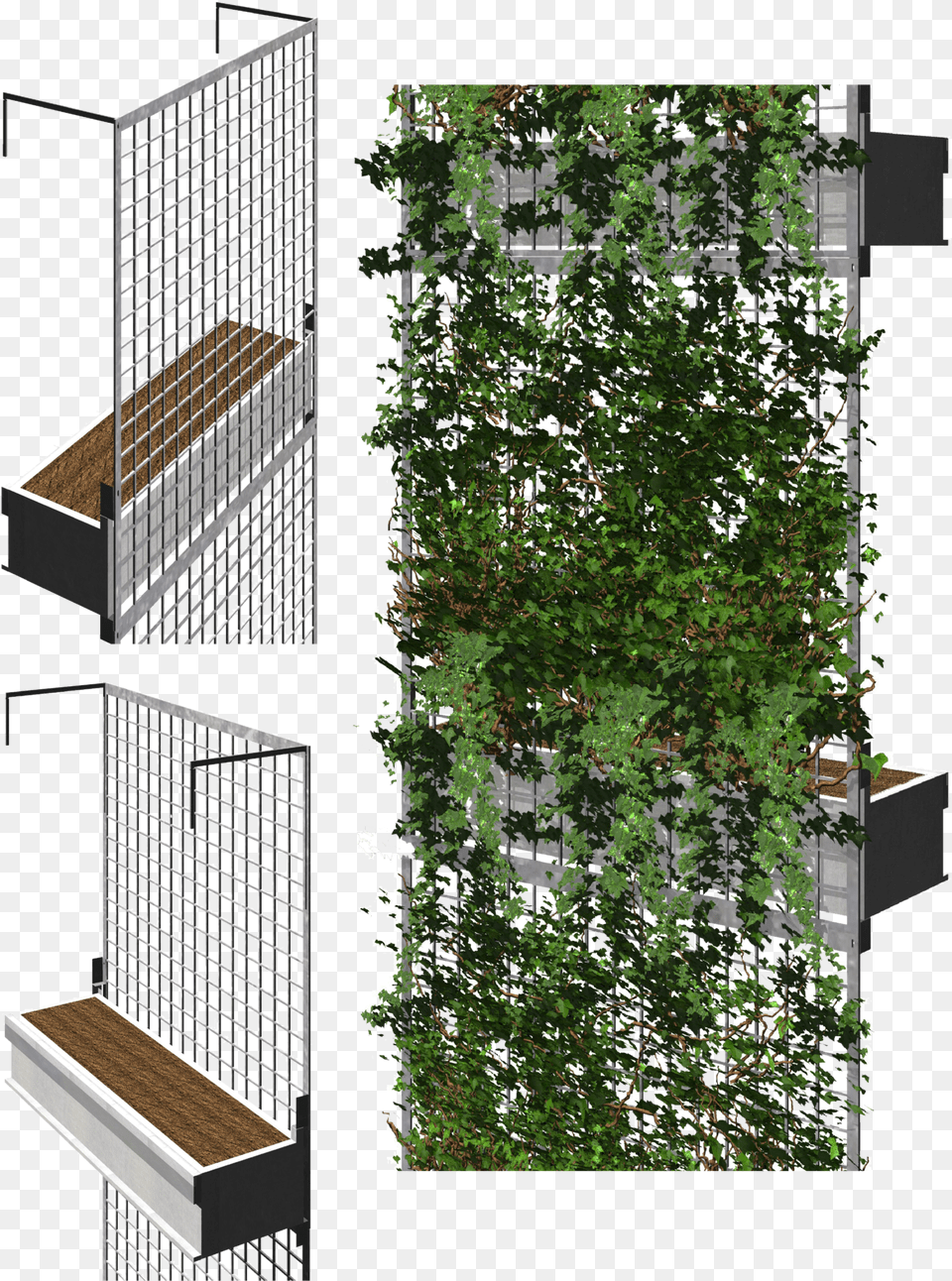 Green Facade System, Plant, Potted Plant, Pottery, Planter Free Transparent Png