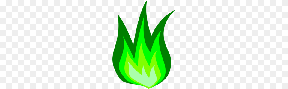 Green Fire Clip Art, Night, Outdoors, Nature, Sea Life Free Transparent Png