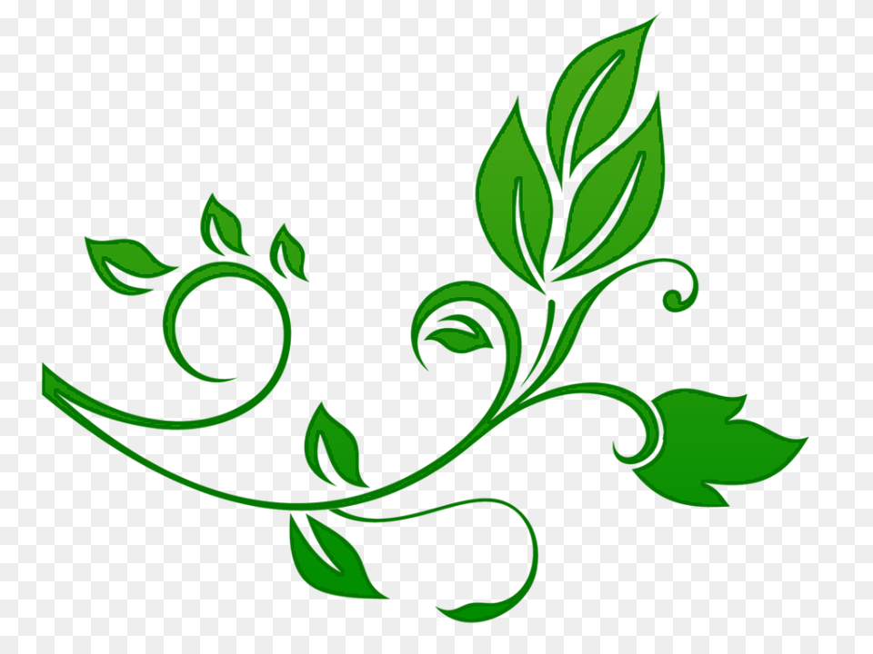 Green Floral Border Image Background, Herbs, Plant, Symbol, Leaf Free Transparent Png