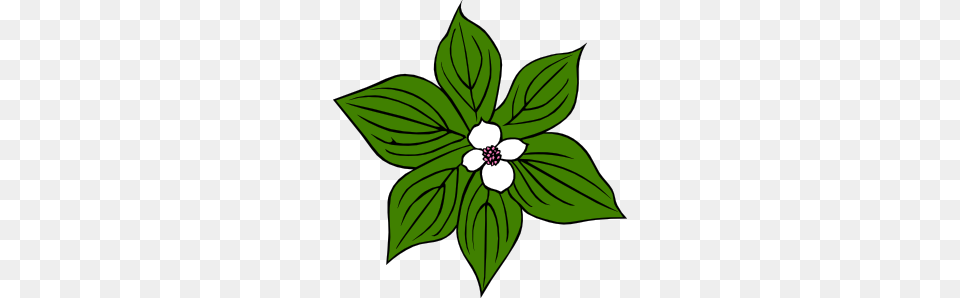 Green Flower Clip Art, Leaf, Plant, Herbal, Herbs Free Png Download