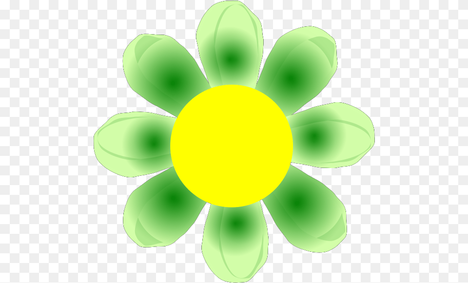 Green Flower Clip Art Dot, Anemone, Petal, Plant, Daisy Png