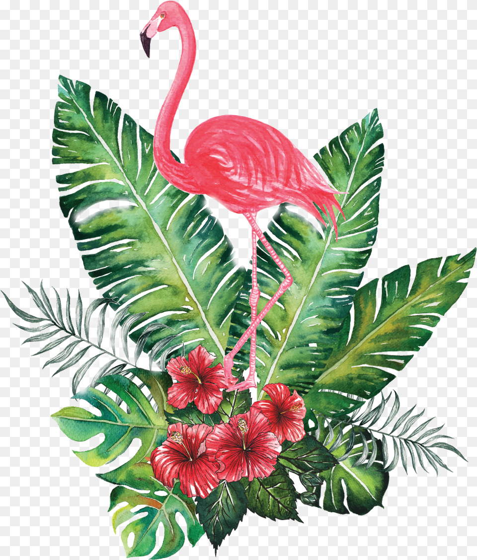 Green Flower Crown Flamingo Tropic Transparent Background Flamingo, Plant, Animal, Bird, Leaf Png Image