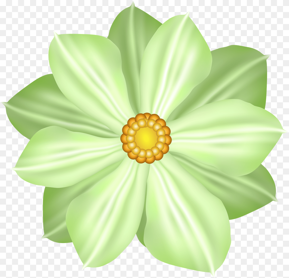 Green Flower Decoration Clipart African Daisy Png Image