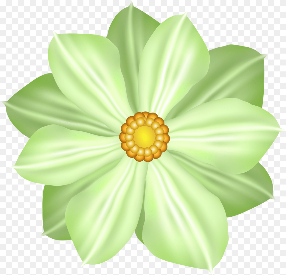 Green Flower Decoration Clipart Image Green Flowers Free Transparent Png