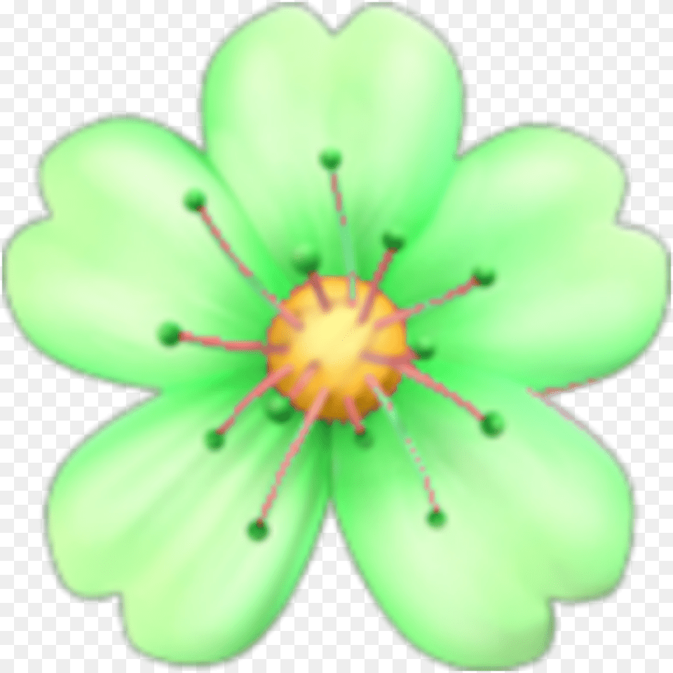 Green Flower Emoji De Flor Rosa, Anther, Plant, Petal, Anemone Free Png
