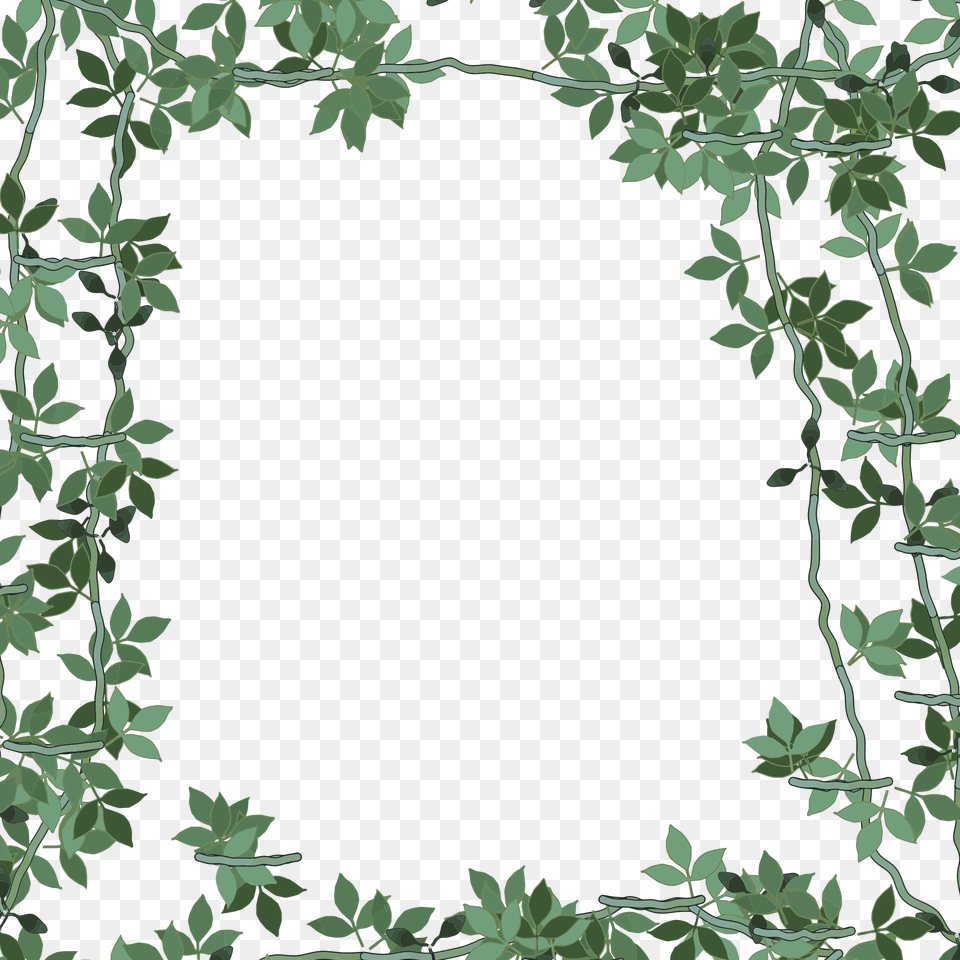Green Flower Frame, Leaf, Plant, Pattern, Vegetation Free Transparent Png
