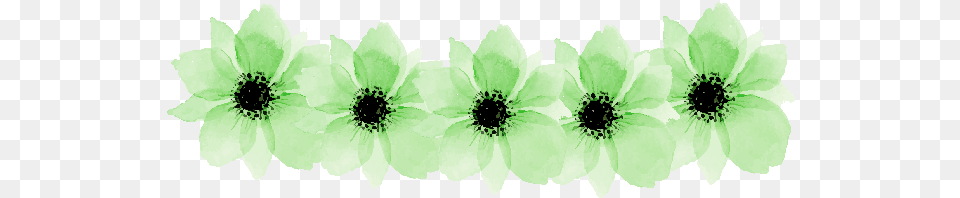 Green Flowers Greenflowers Flowerchain Flowercrown Green Flower Crown Transparent, Anemone, Plant, Petal, Anther Free Png