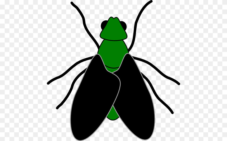 Green Fly Black Clip Art At Clker Clip Art Of Fly, Animal, Bow, Weapon Free Png