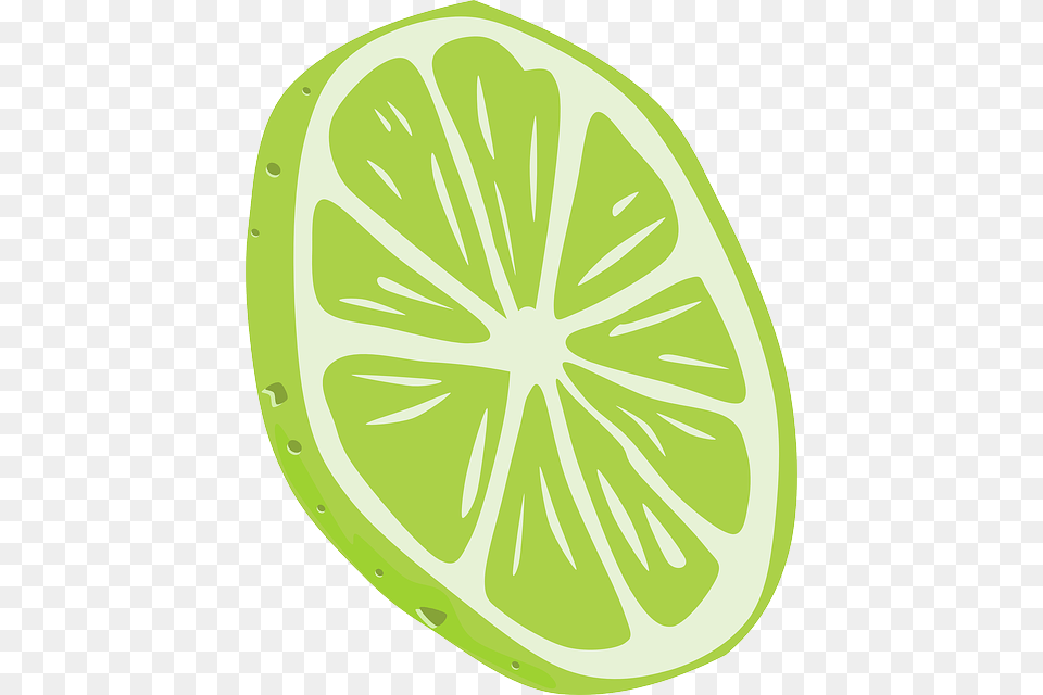Green Food Slice Fruit Cartoon Lemon Lime Tomato Orange Peel Vector, Citrus Fruit, Plant, Produce Png Image