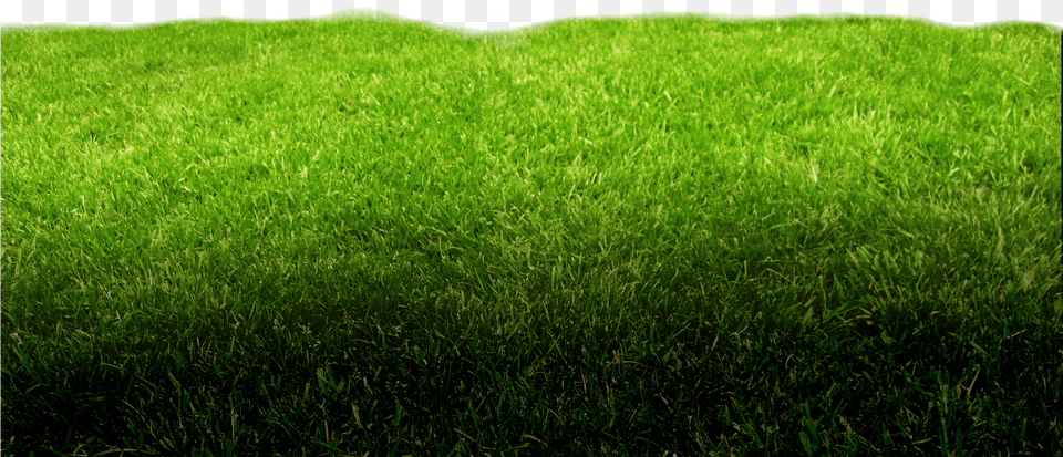 Green Footer Bg Lawn, Grass, Plant Free Transparent Png