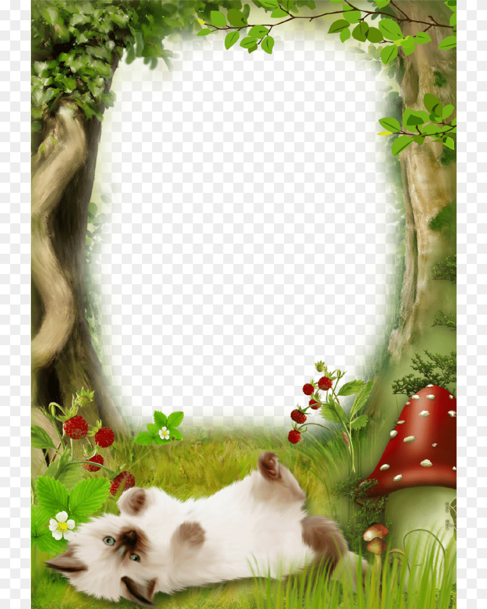 Green Forest Nature Picture Frame With Cute Kitten Picture Frame, Animal, Canine, Dog, Mammal Free Png Download