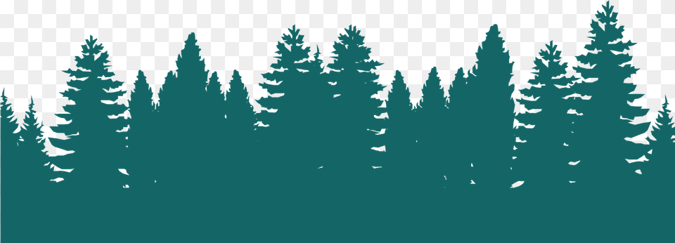 Green Forest Silhouette Download, Conifer, Fir, Pine, Plant Png Image