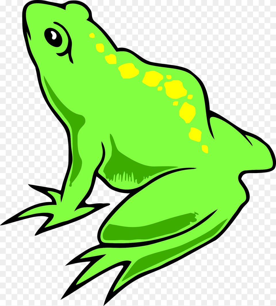 Green Frog Clipart, Amphibian, Animal, Wildlife, Fish Free Transparent Png