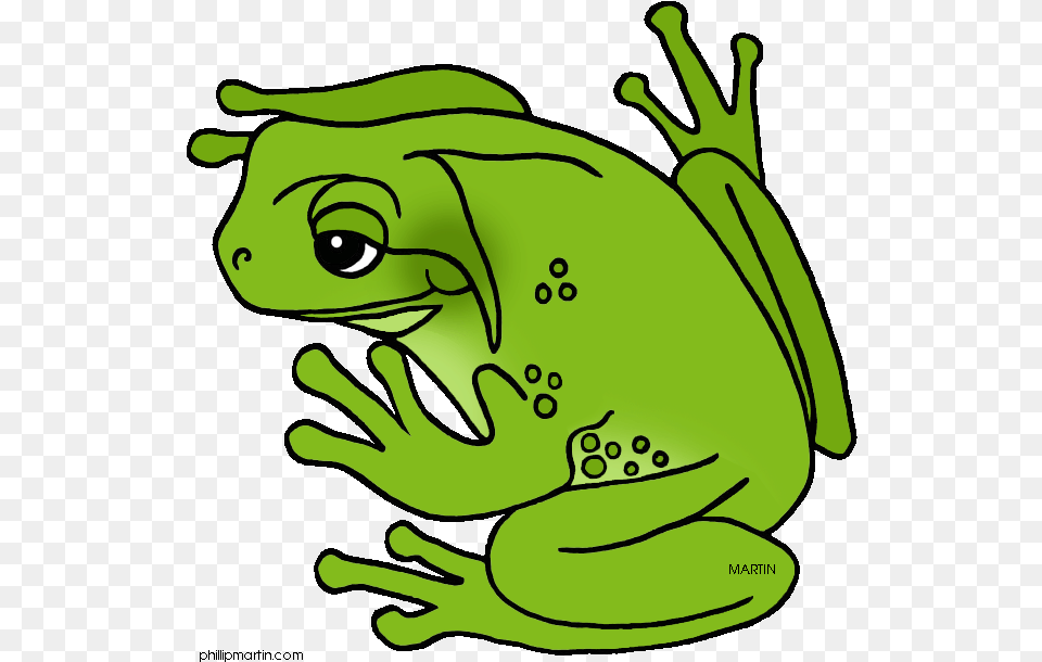 Green Frog Clipart Cool Frog Green Tree Frog Clipart, Amphibian, Animal, Wildlife, Baby Free Png