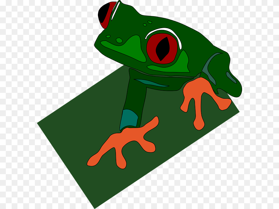 Green Frog Red Eye Feet Eyed Sticky Eyes Green Dart Frog Clipart, Amphibian, Animal, Wildlife, Tree Frog Free Transparent Png